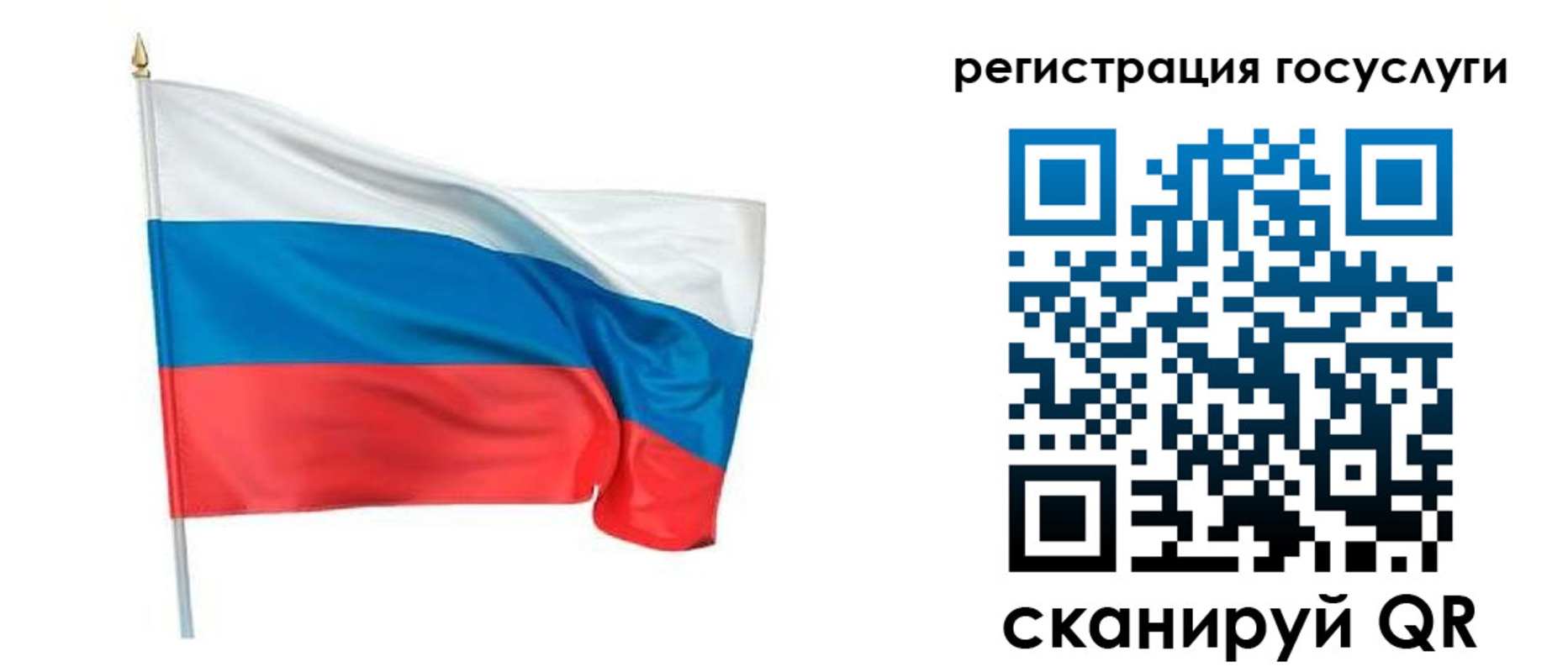 прописка паспорт в Светлом